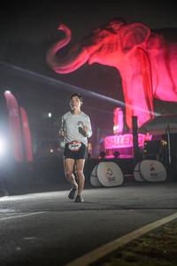 BIB: 
                            <button type="button" onclick="openModal(26531062)" class="btn btn-primary btn-sm float-right btn-popup" data-toggle="modal" data-target=".modal-high-quality">
                        <i class="fas fa-shopping-cart"></i> Add to Cart
                    </button>
                                            <button type="button" onclick="isThisMe(26531062, true)" class="btn btn-success btn-sm float-right btn-popup btn-isme hidden" data-toggle="tooltip" data-placement="bottom" title="นี่คือรูปของคุณใช่ไหม คลิกที่นี่เพื่อเอาเข้าอัลบั้ม">
                        <i class="fas fa-plus"></i> Add to album
                    </button>
                    <button type="button" onclick="isThisMe(26531062, false)" class="btn btn-warning btn-sm float-right btn-popup btn-isnotme hidden">
                        <i class="fas fa-ban"></i> Remove from album
                    </button>